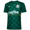 Original Fußballtrikot Palmeiras Heimtrikot 2021-22 Für Herren